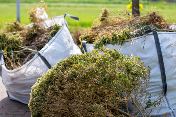 Best Basement Cleanout Services  in Oakleaf Plantation, FL